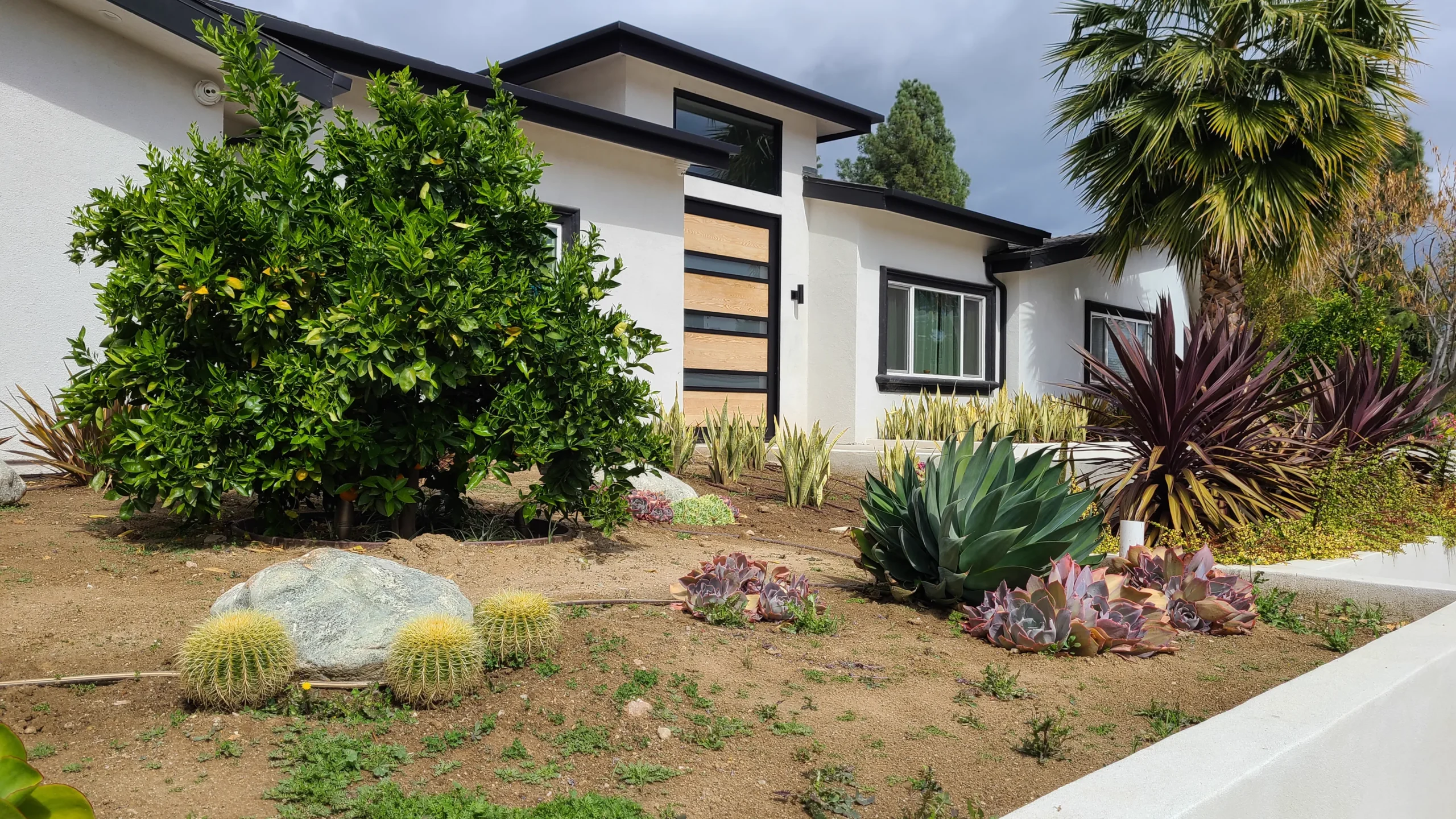 Front Yard Landscape Design Modern Entry, Interior Conception